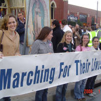 Click for larger image.